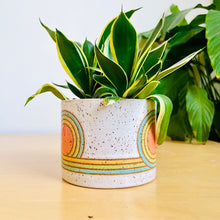 Load image into Gallery viewer, 4&quot; Table Planter - 33
