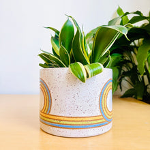 Load image into Gallery viewer, 6&quot; Table Planter - 41
