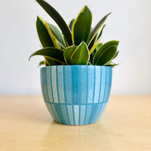 Load image into Gallery viewer, 7" Table Planter - 8
