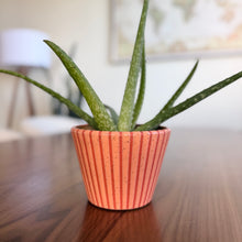 Load image into Gallery viewer, 4&quot; Table Planter - Coral Tapered
