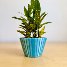 Load image into Gallery viewer, 4" Table Planter - 2
