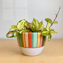 Load image into Gallery viewer, 6" Table Planter - 10
