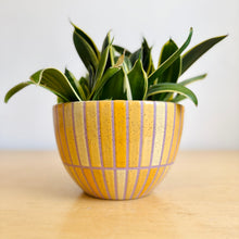 Load image into Gallery viewer, 7" Table Planter - 7

