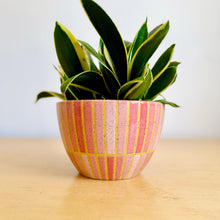 Load image into Gallery viewer, 7" Table Planter - 6
