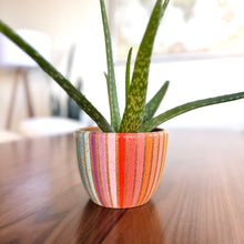 Load image into Gallery viewer, 4&quot; Table Planter - Double Rainbow

