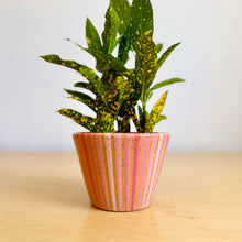Load image into Gallery viewer, 4" Table Planter - 1
