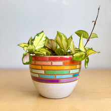 Load image into Gallery viewer, 6" Table Planter - 7
