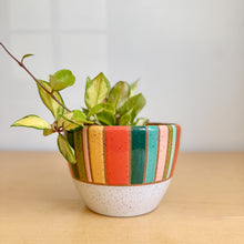 Load image into Gallery viewer, 6" Table Planter - 10
