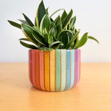 Load image into Gallery viewer, 7" Hanging Planter - 6
