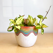 Load image into Gallery viewer, 6" Table Planter - 11
