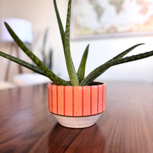 Load image into Gallery viewer, 4&quot; Table Planter - Coral
