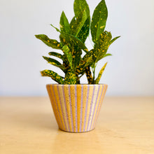 Load image into Gallery viewer, 4" Table Planter - 3
