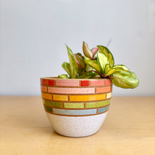 Load image into Gallery viewer, 6" Table Planter - 6
