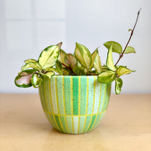 Load image into Gallery viewer, 6" Table Planter - 9

