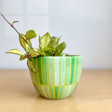Load image into Gallery viewer, 6" Table Planter - 9
