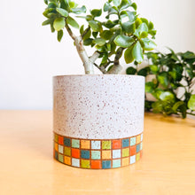 Load image into Gallery viewer, 6&quot; Table Planter - 11
