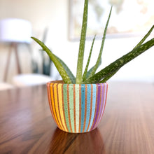 Load image into Gallery viewer, 4&quot; Table Planter - Double Rainbow
