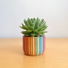Load image into Gallery viewer, 5" Table Planter - 7
