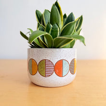Load image into Gallery viewer, 7" Table Planter - 2
