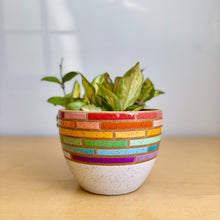 Load image into Gallery viewer, 6" Table Planter - 7

