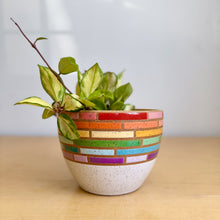 Load image into Gallery viewer, 6" Table Planter - 7
