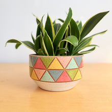 Load image into Gallery viewer, 7" Hanging Planter - 3
