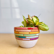 Load image into Gallery viewer, 6" Table Planter - 7
