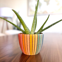 Load image into Gallery viewer, 4&quot; Table Planter - Double Rainbow

