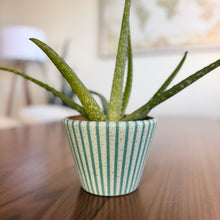 Load image into Gallery viewer, 4&quot; Table Planter - Aqua Tapered
