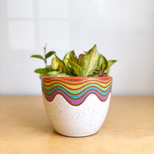 Load image into Gallery viewer, 6" Table Planter - 11

