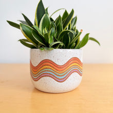 Load image into Gallery viewer, 7" Hanging Planter - 5
