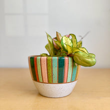 Load image into Gallery viewer, 6" Table Planter - 10
