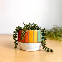 Load image into Gallery viewer, 4" Table Planter - 12
