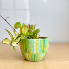Load image into Gallery viewer, 6" Table Planter - 8
