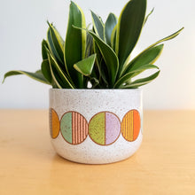 Load image into Gallery viewer, 7" Table Planter - 2
