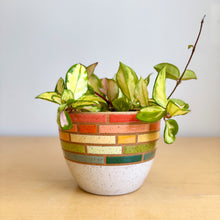 Load image into Gallery viewer, 6" Table Planter - 6
