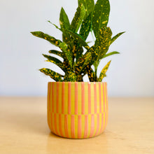 Load image into Gallery viewer, *Second* 4" Table Planter - 5
