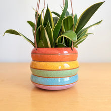 Load image into Gallery viewer, 6" Hanging Planter - 1

